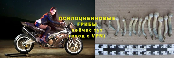 экстази Арсеньев
