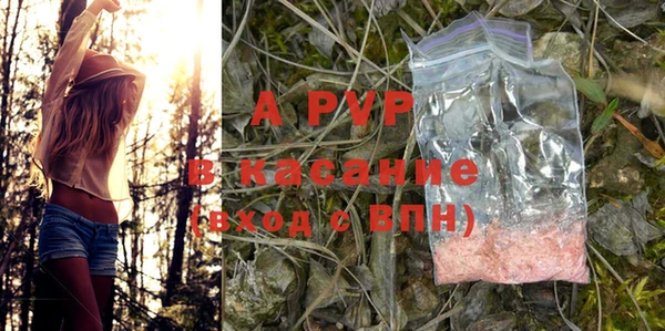экстази Арсеньев